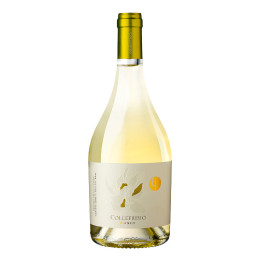 Magnolia Bianco IGT Terre di Chieti 2022 – Collefrisio