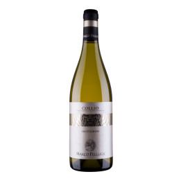 Sauvignon Collio DOC 2021 – Marco Felluga