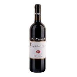 Dolcetto d’Alba DOC 2021 – Pio Cesare