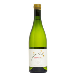 Chardonnay 2020 – Bodega Chacra