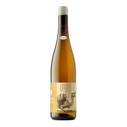 Drago Bianco 2019 – Musella