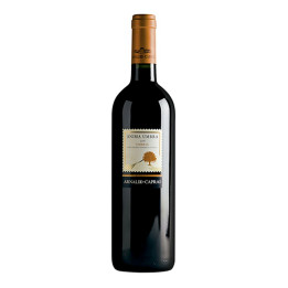 Umbria Rosso IGT Anima Umbra 2019 – Arnaldo Caprai