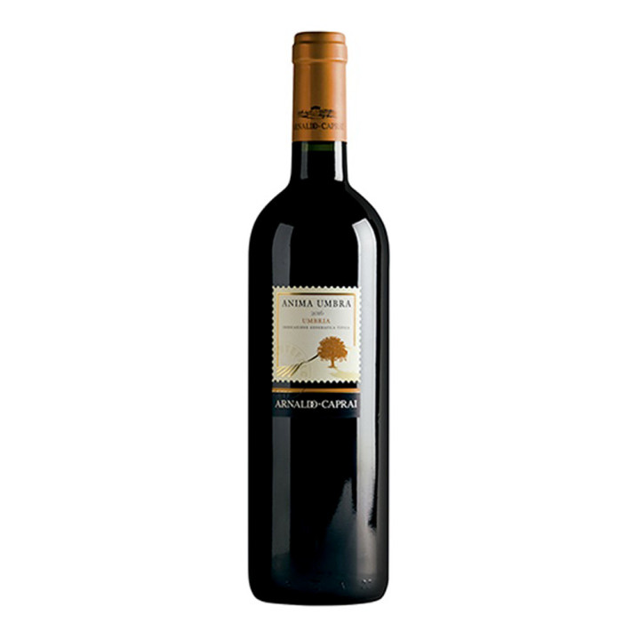 Umbria Rosso IGT Anima Umbra 2019 – Arnaldo Caprai