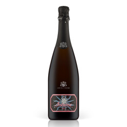 Antares Rosè Trento DOC Brut Millesimato 2017 – Cantina Toblino