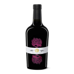 Sottosopra Vino e Amarene – Collefrisio