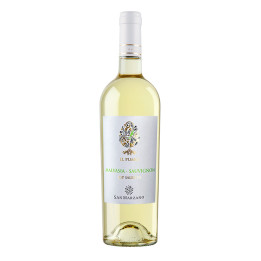 Sauvignon e Malvasia IGP Salento Il Pumo – San Marzano
