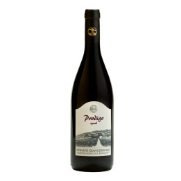 Syrah Prodigo 2018 – Donato Giangirolami