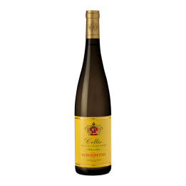 Friulano Collio DOC 2021 – Schiopetto