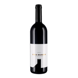 Lagrein Sigis Mundus Alto Adige DOC 2017 – Colterenzio