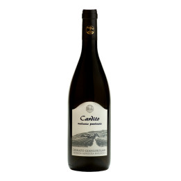 Malvasia Puntinata Cardito 2020 – Donato Giangirolami