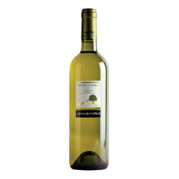 Grechetto Umbria IGT Anima Umbra 2022 – Arnaldo Caprai