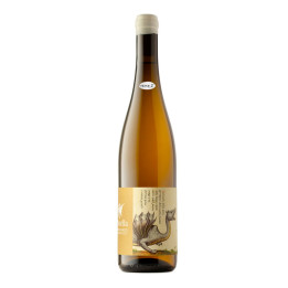 Drago Bianco 2020 – Musella