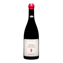 Morei Cilindrica Teroldego 2019 – Foradori